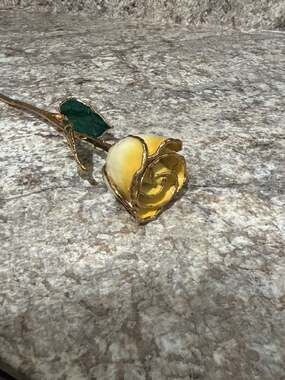 24K Gold Dipped Cream and Yellow Lacquered Real Long Stem Rose